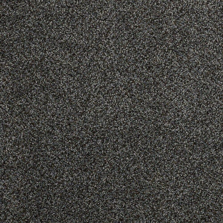 STAINMASTER PetProtect Mineral Bay I 12-ft Marina Textured Carpet Sample (Interior)