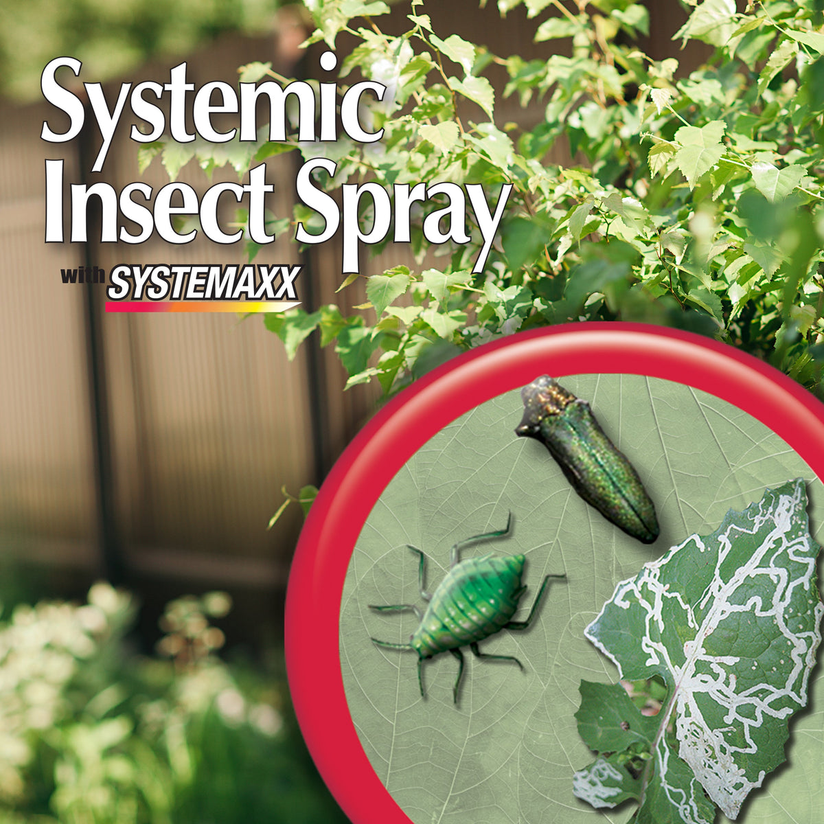 Bonide Systemic Insect Spray Ready-to-Spray, 32 oz (Quart)