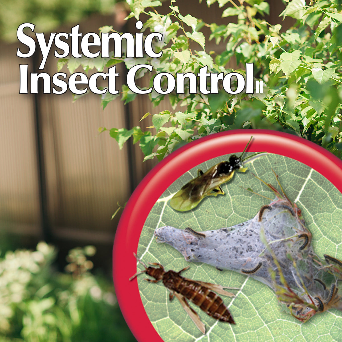 Bonide Systemic Insect Control Concentrate, 1 Pint (16 oz)