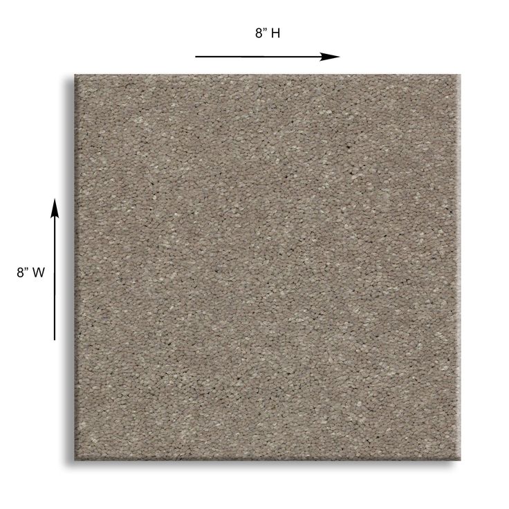 STAINMASTER Essentials Blue Diamonds II 12-ft Natural Contour Textured Carpet Sample (Interior)
