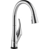 Esque Single-Handle Pull-Down Sprayer Kitchen Faucet with ShieldSpray Technology in Arctic Stainless - Super Arbor