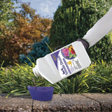 Bonide Rose Rx Systemic Drench Liquid Concentrate Insect & Disease Control, 32 oz