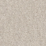 STAINMASTER Essentials Blue Diamonds II 12-ft Minimalist Textured Carpet Sample (Interior)