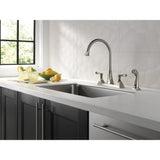 Everly 2-Handle Standard Kitchen Faucet with Spray in Stainless - Super Arbor