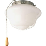 AirPro 1-Light White Ceiling Fan Light