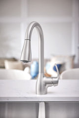 Kleo Single-Handle Pull-Down Sprayer Kitchen Faucet with Reflex and Power Clean in Chrome