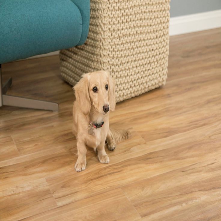 CALI Pro Classic Blonde Ale Brown 20-mil x 7-in W x 48-in L Waterproof Interlocking Luxury Vinyl Plank Flooring (23.77-sq ft/ Carton)