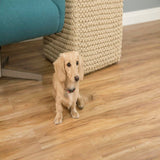 CALI Pro Classic Blonde Ale Brown 20-mil x 7-in W x 48-in L Waterproof Interlocking Luxury Vinyl Plank Flooring (23.77-sq ft/ Carton)