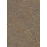 Forbo Flooring Systems Marmoleum Cinch Loc Seal Cork Tree 10-mm T x 12-in W x 12-in L Waterproof Tile Look Laminate Flooring (6.78-sq ft / Carton)