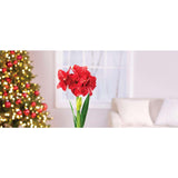 98ed1878-1756-4472-a35a-28b8e6ee775c_quality=60&_mzcb=_1649148331752_-154746228