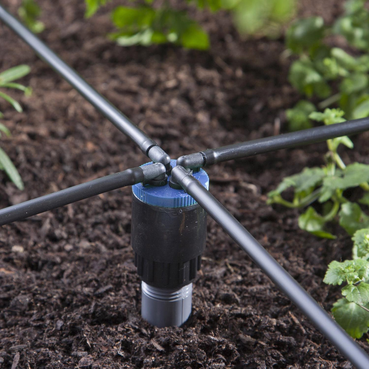 Raindrip Spot Drip Irrigation Bubbler, 2 GPH, Cuatro-Flo Four-Outlet