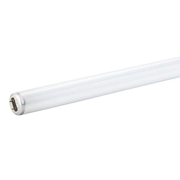 Philips 15-Watt 18 in. Linear T8 Fluorescent Tube Light Bulb Cool White (4100K)