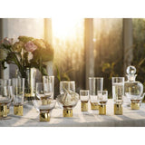 Club Gold Beer Glass (2-Pack)