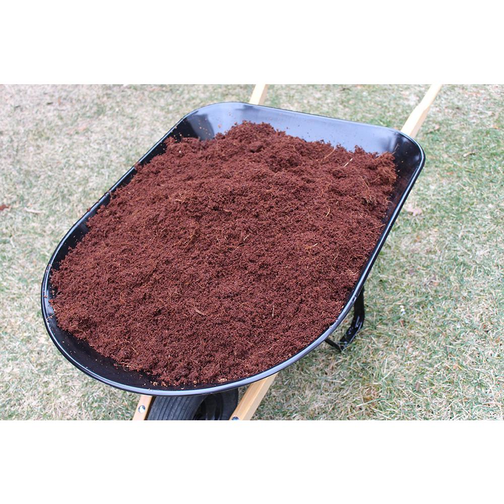 ENVELOR 10 lbs. Organic Coco Block Coir Brick Potting Soil (4-Pack) - Super Arbor