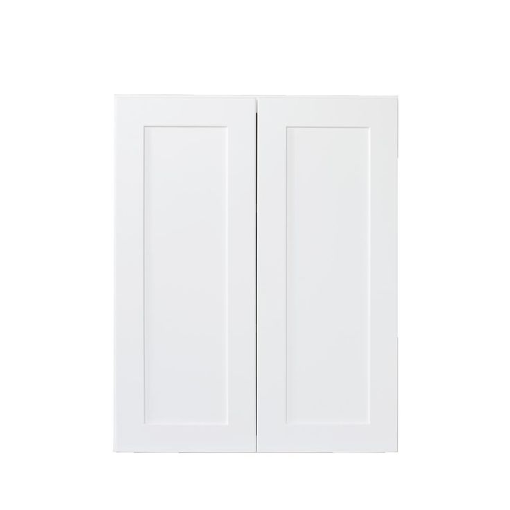 Bremen Ready to Assemble 24 x 30 x 12 in. Wall Cabinets with 2 Doors and 2 Adjustable Shelves