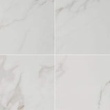 Carrara 24 in. x 24 in. Polished Porcelain Floor and Wall Tile (16 sq. ft. / case) - Super Arbor