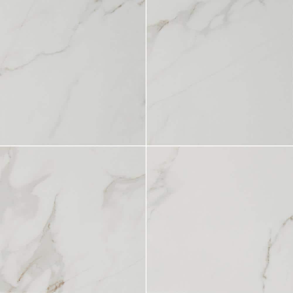 Carrara 24 in. x 24 in. Polished Porcelain Floor and Wall Tile (16 sq. ft. / case) - Super Arbor