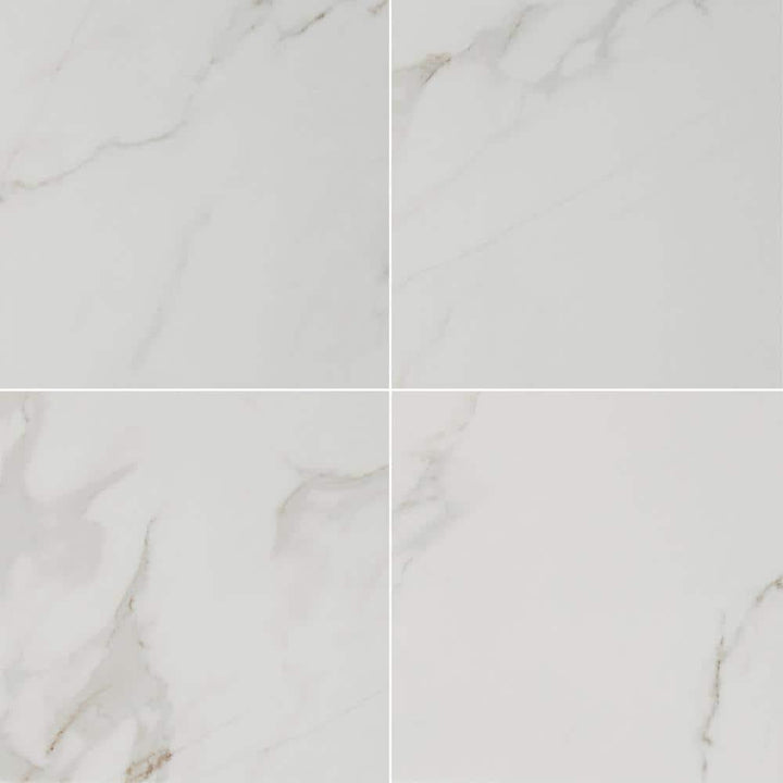 Carrara 24 in. x 24 in. Polished Porcelain Floor and Wall Tile (16 sq. ft. / case) - Super Arbor