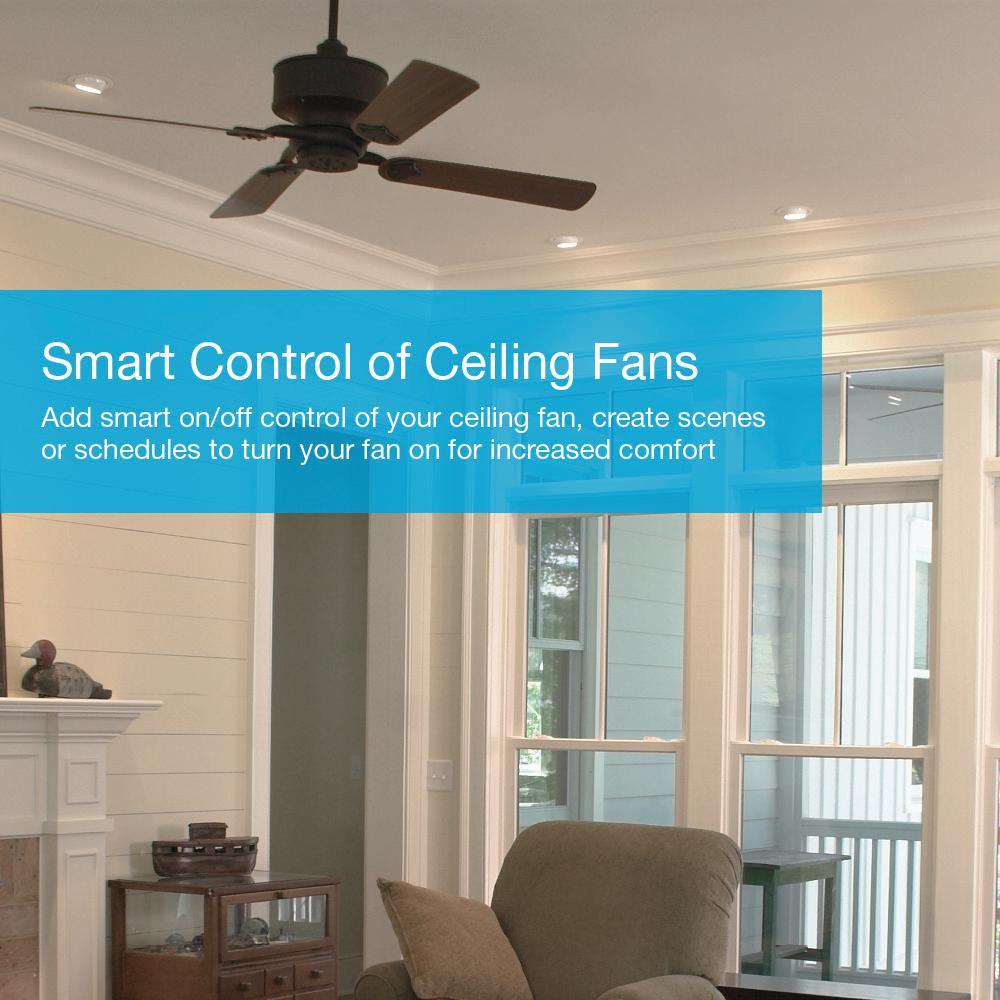 Caseta Wireless Smart Lighting Switch (2 Count) Starter Kit - Super Arbor