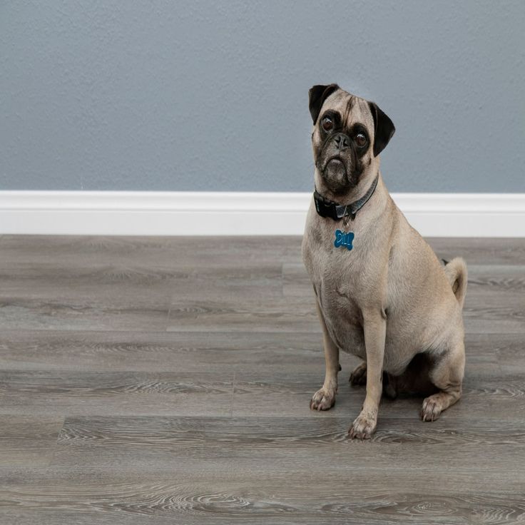 CALI Mute step Breakwater Oak Gray 20-mil x 7-in W x 48-in L Waterproof Interlocking Luxury Vinyl Plank Flooring (24.03-sq ft/ Carton)