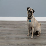 CALI Mute step Breakwater Oak Gray 20-mil x 7-in W x 48-in L Waterproof Interlocking Luxury Vinyl Plank Flooring (24.03-sq ft/ Carton)