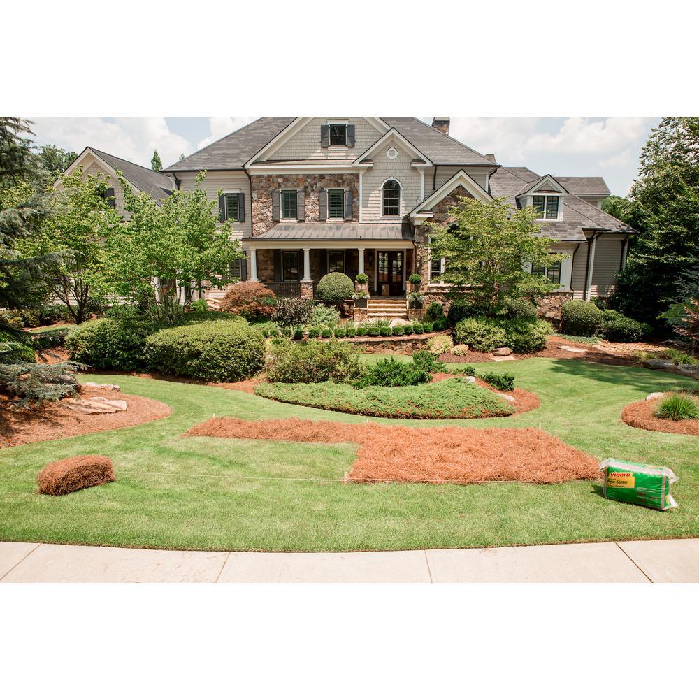 Premium Long Leaf Bagged Pine Straw - Super Arbor