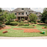 Premium Long Leaf Bagged Pine Straw - Super Arbor