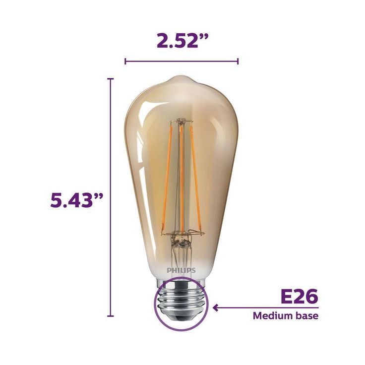 Philips 40-Watt Equivalent ST19 Dimmable Vintage Glass Edison LED Light Bulb Amber Warm White (2000K) (1-Bulb)