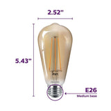 Philips 40-Watt Equivalent ST19 Dimmable Vintage Glass Edison LED Light Bulb Amber Warm White (2000K) (1-Bulb)