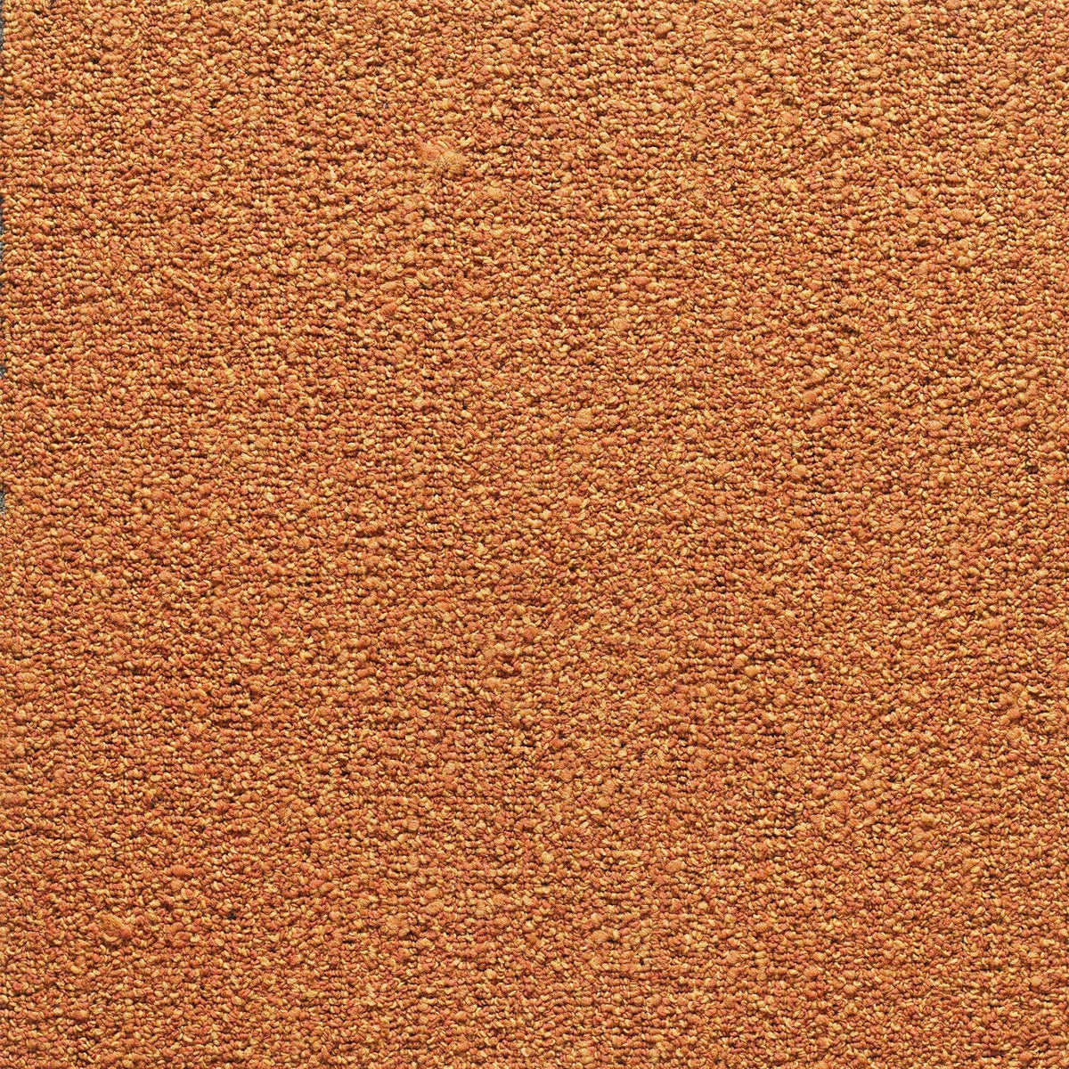 Horsforth 24" x 24" (72SF/carton) carpet tile in SLATEN SKY - Super Arbor