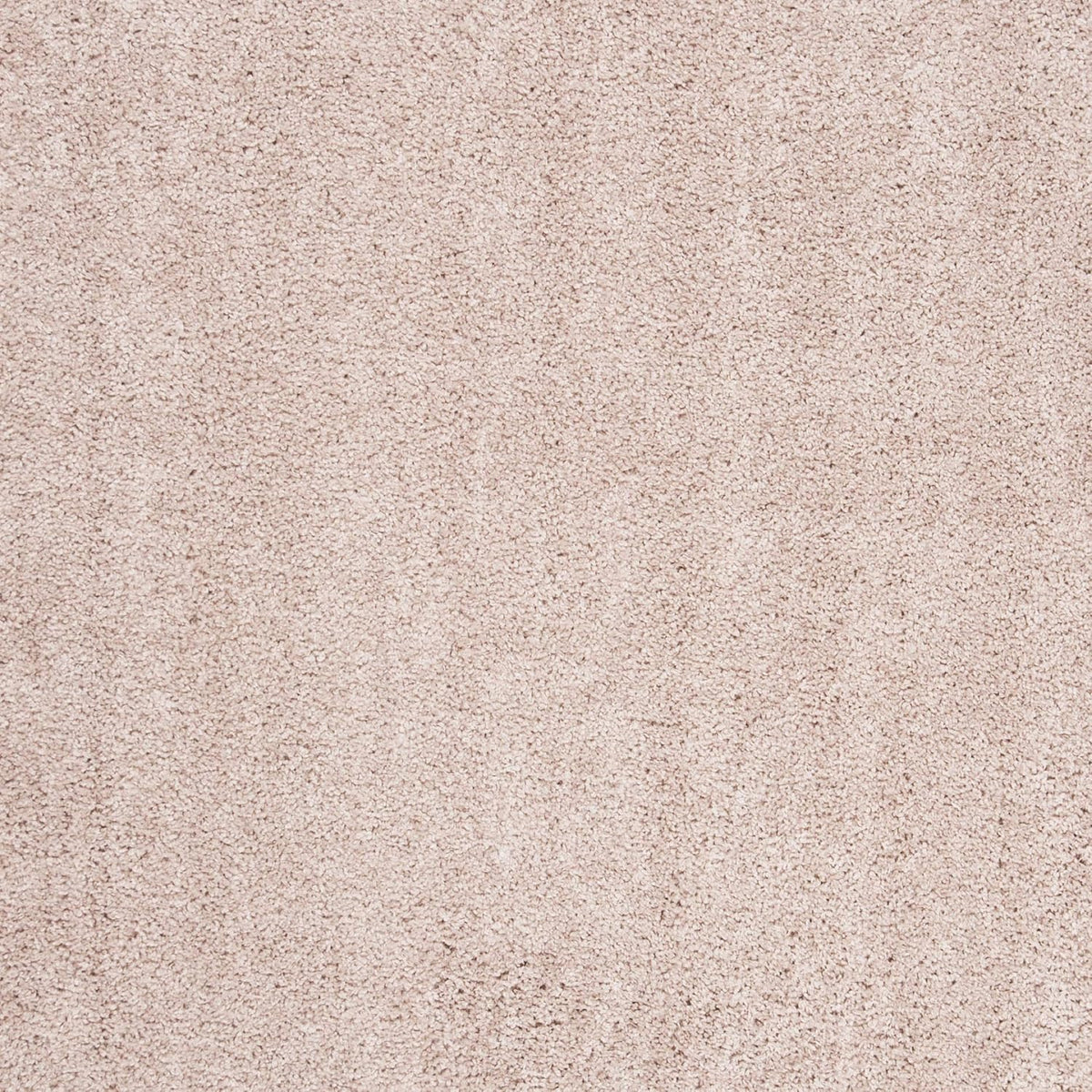 Safavieh Solo Shag 7 ft. Round Indoor Area Rug in Ivory, Solid Plush