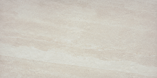 Emser ACCESS 8-Pack Voyage 12-in x 24-in Glazed Porcelain Stone Look Tile