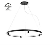 DLSS Lighting Co., Ltd. Aluminum Black Modern Hanging LED Chandelier Pendant Light
