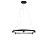 DLSS Lighting Co., Ltd. Aluminum Black Modern Hanging LED Chandelier Pendant Light