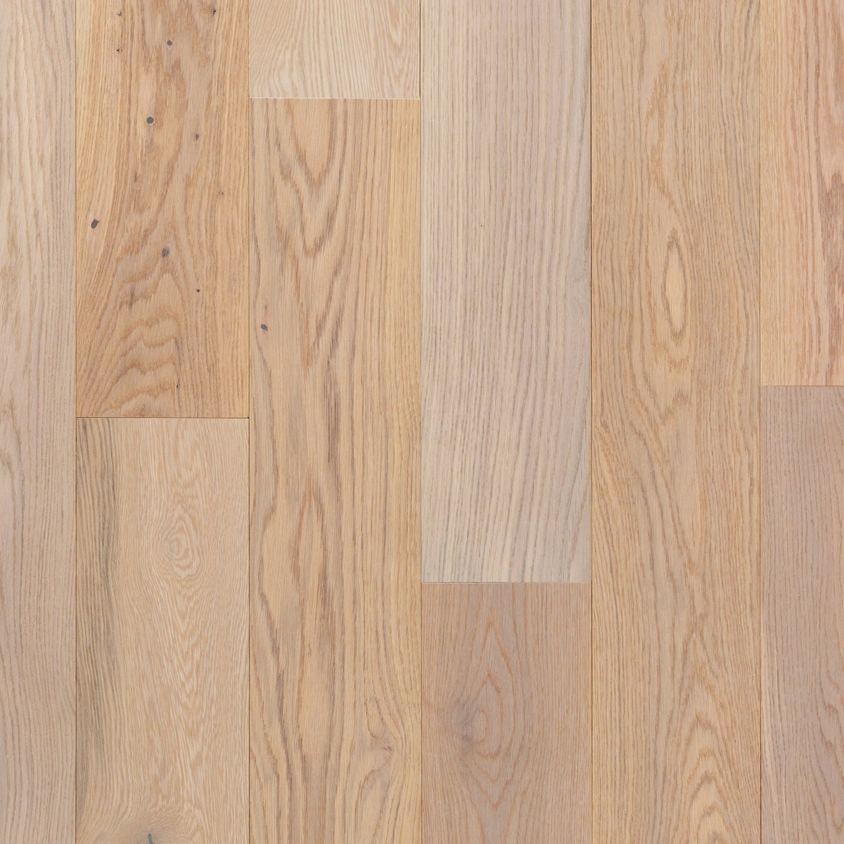 Apollo White Oak Flextech Smooth Engineered Hardwood