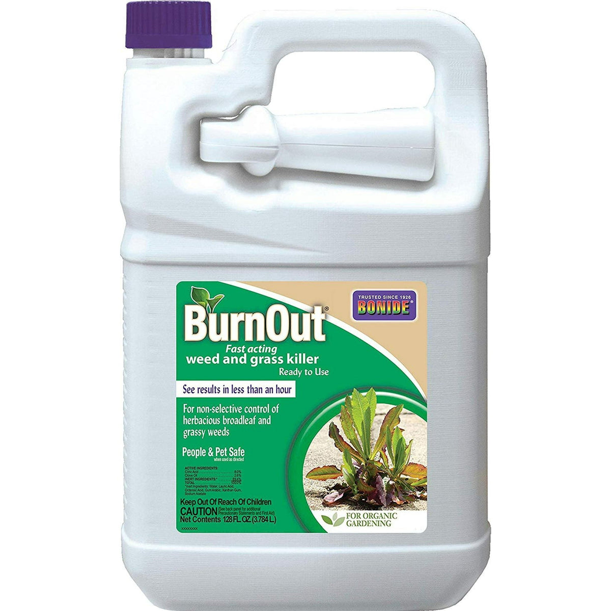 Bonide BurnOut Fast-Acting Weed & Grass Killer, Ready-to-Use Liquid, 1 Gallon