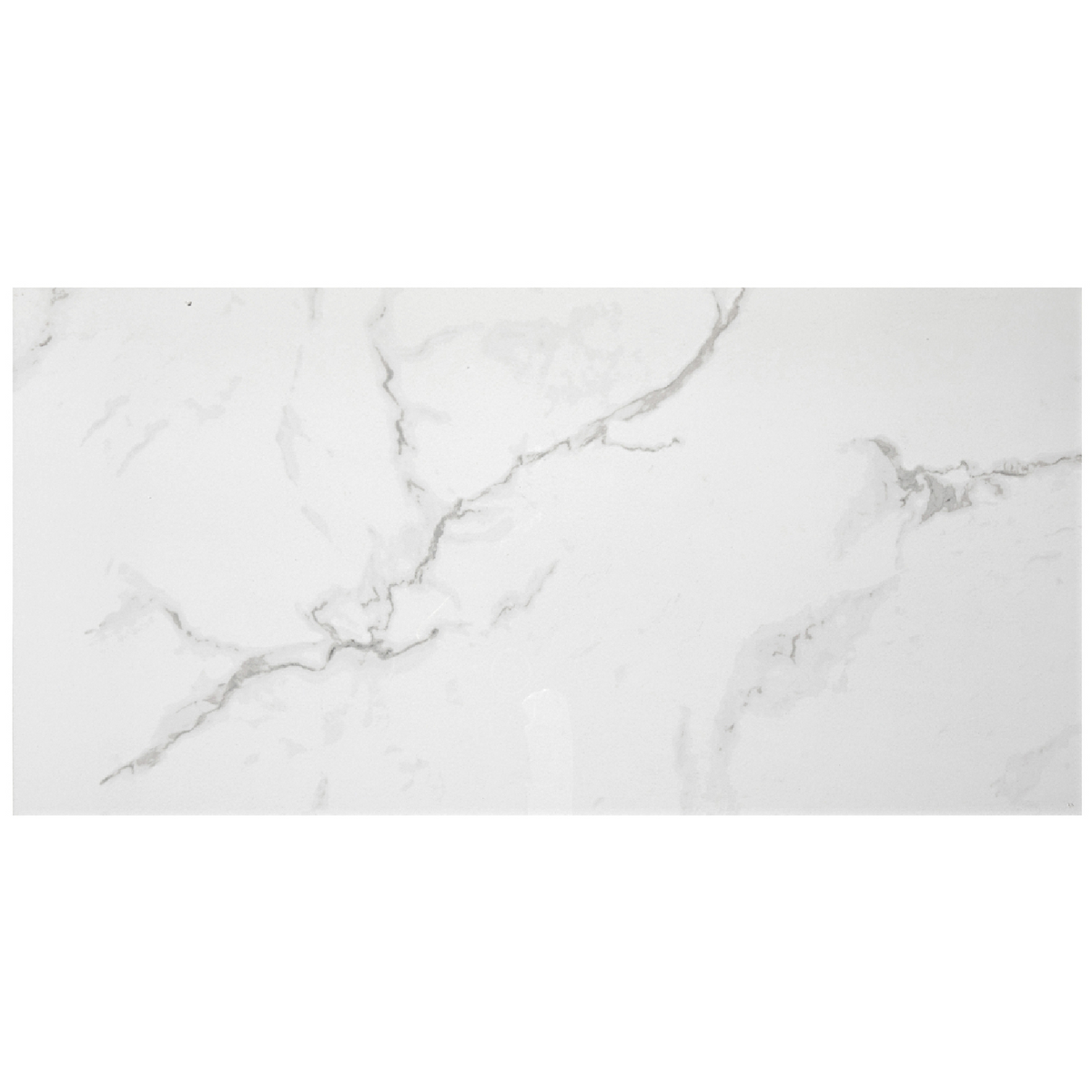 Calacutta Bianco Gloss Porcelain Wall and Floor Tile - 12 x 24 in.