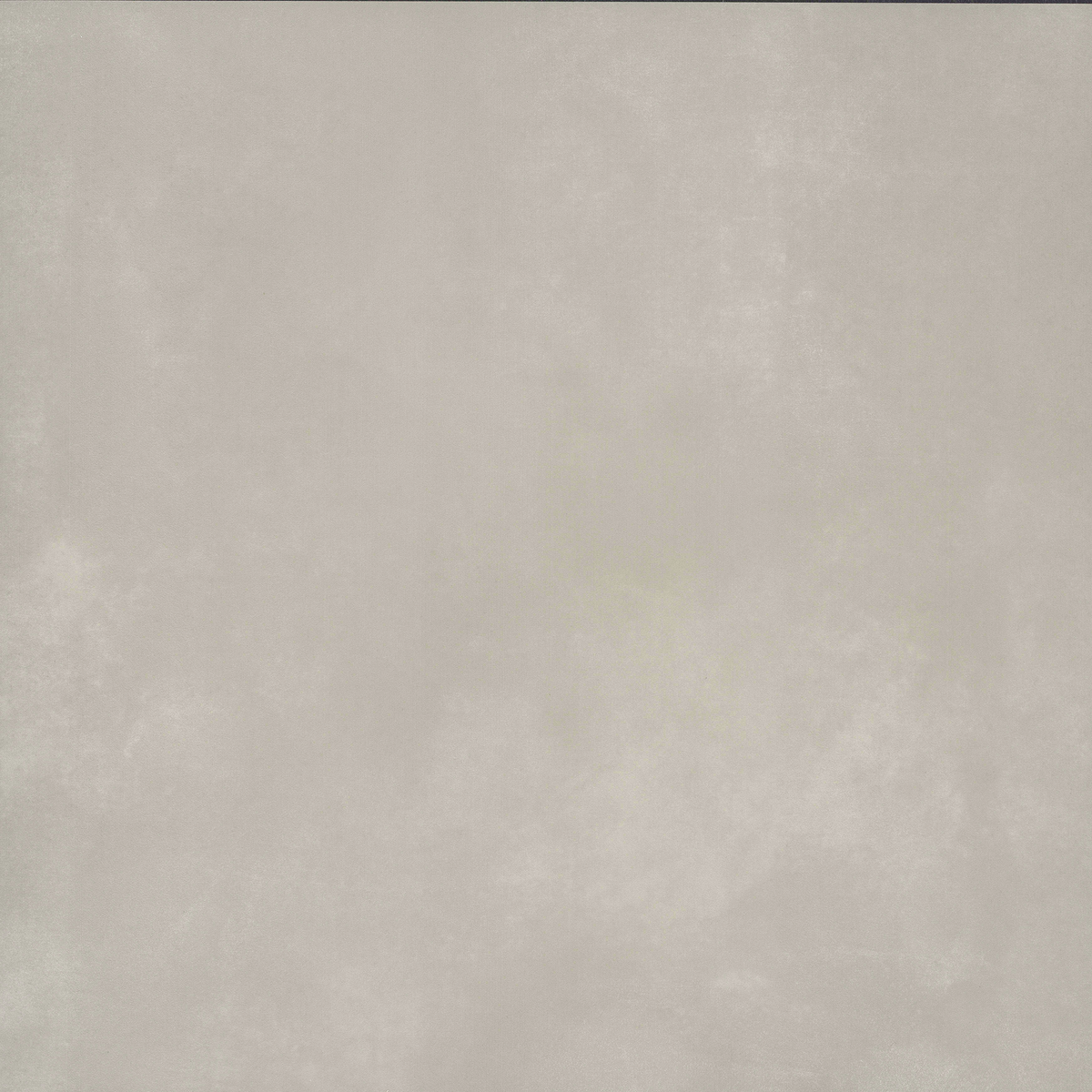 Emser Cosmopolitan Steel 12-in x 24-in Glazed Porcelain Stone-Look Floor and Wall Tile, 6-Pack