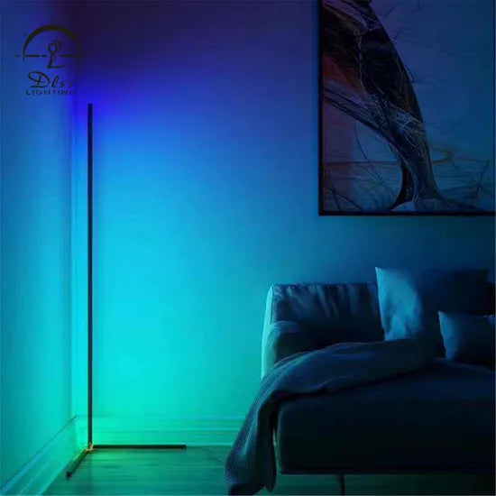 DLSS Lighting Co.,Ltd Dimmable Bedroom Bedside Lamp LED Floor Lamp