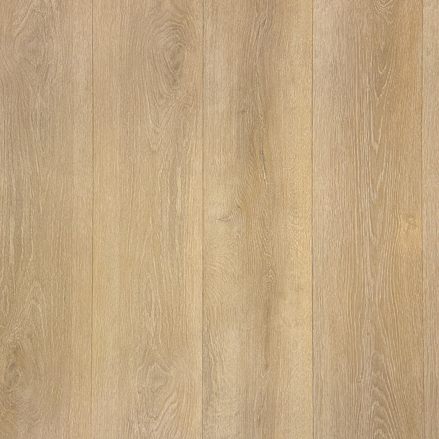 Fresh Oak 8.7 in. W x 47.6 in. L Click-Lock Luxury Vinyl Plank Flooring (56 cases/1123.36 sq. ft./pallet)