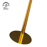 DLSS Lighting Fashion Floor Lamp LED Lamp