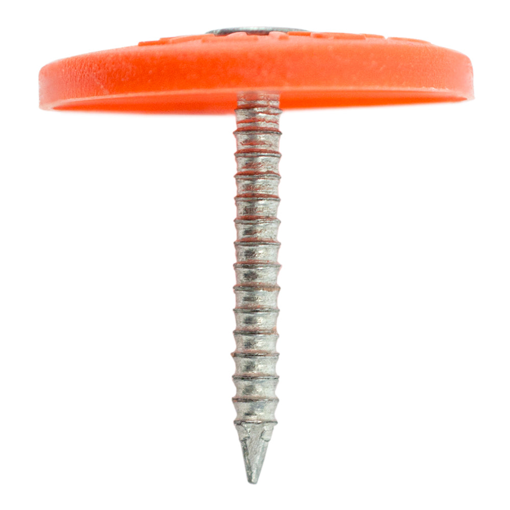 Grip-Rite No. 12 1 in. Cap Electro-Galvanized Plastic/Steel Nail Full Round Head