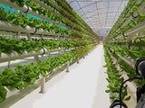 G-Floor GrowFloor 10 ft. x 61 ft. Absolute White Ceramic High Gloss Commercial Vinyl Sheet