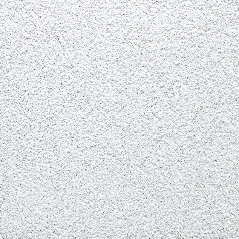 Armstrong Ceilings 24-in x 24-in Classic Fine Textured, Angled Tegular 15/16 Edge, 12-Pack White Acoustic Panel Ceiling Tiles (954)