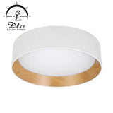 DLSS LED Ceiling Lamp Bowl-Shaped Home Decoration Modern LED Light Ceiling Lighting