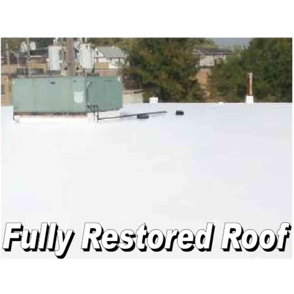 RM Lucas #6000 Universal Thermoplastic Roof Coating White 5 gal