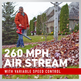 Toro Ultra 260 MPH 340 CFM Electric 12 Amp Blower/Vacuum/Mulcher