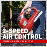 Toro 115 MPH 146 CFM 20-Volt Cordless Leaf Blower (Model 51701)