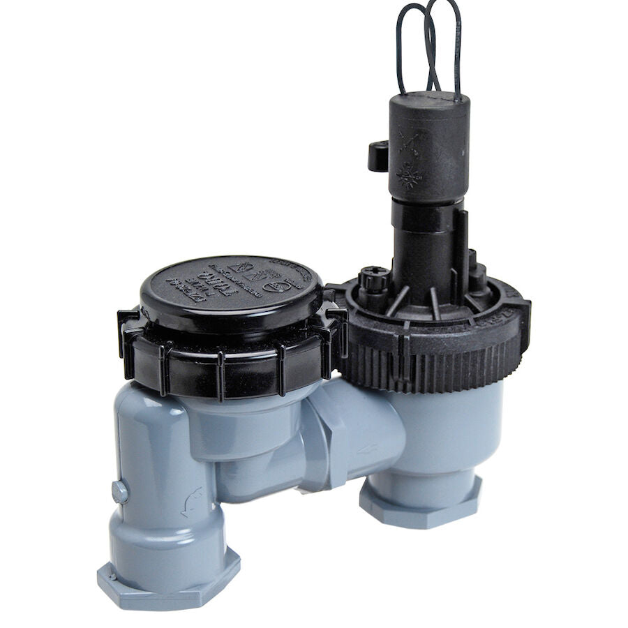Toro Anti-Siphon Valve, 1 in., 150 PSI (Model 53764)