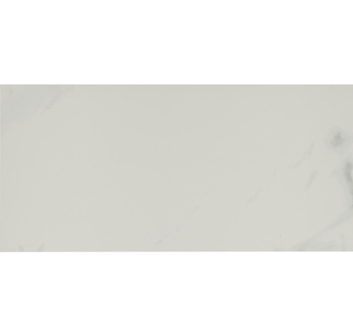 Lenci White Matte Porcelain Wall and Floor Tile - 12 x 24 in.